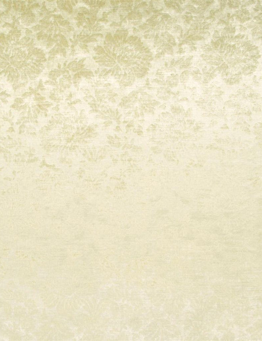 Ткань Designers Guild Phipps F1544/01
