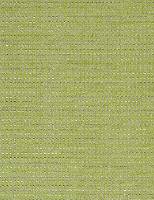 Ткань Designers Guild Maitland F1584/04