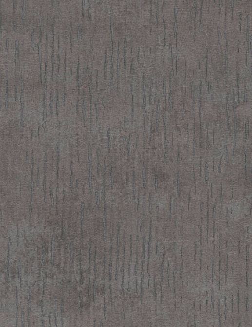Обои A. S. Creation Titanium 3 38199-5