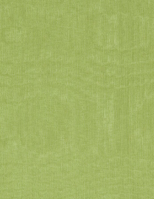 Ткань Designers Guild Chinaz F1352/58
