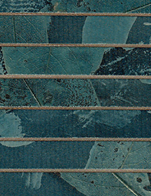 Обои Innovations Collection Botanica BOT-05 EUCALYPTUS