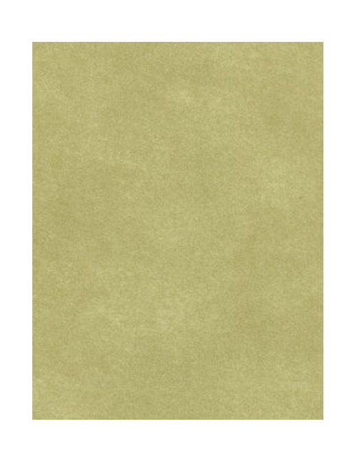 Обои Prestigious Textiles Fusion 1922-651