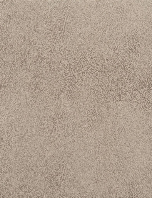 Ткань Designers Guild Nevada FDG2538/09