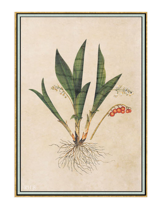 Панно и фотообои Iksel Scenic & Architectural Wallpapers Renaissance Herbier RH8