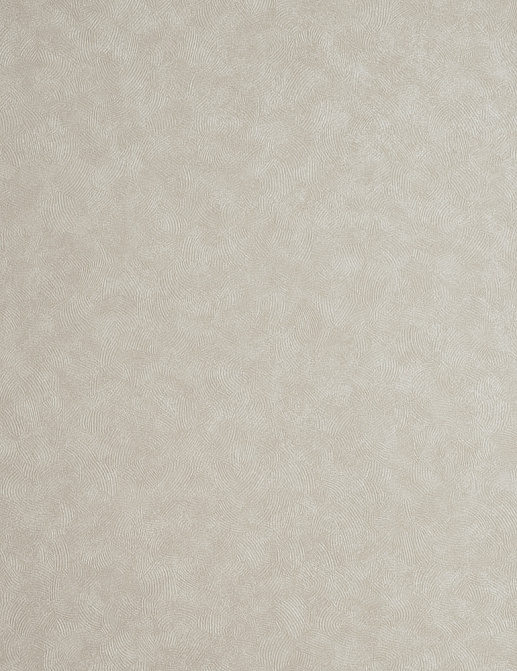 Обои Clarke & Clarke Reflections W0056/05