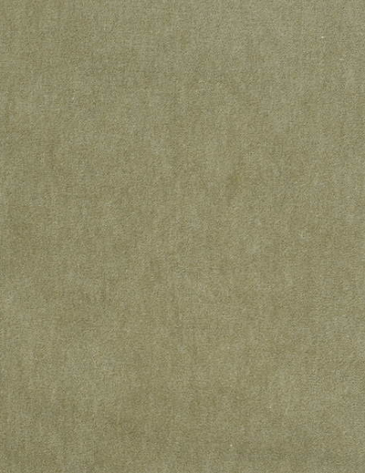 Ткань Bart Halpern Velveteen 18100-08