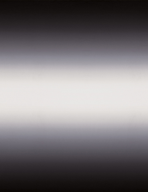 Ткань Black Edition Orchis 7605/01