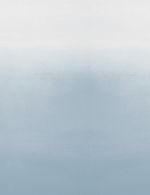 Панно и фотообои Designers Guild Marquisette P600-15