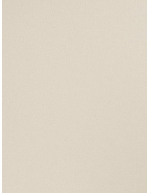 Ткань Trend Multipurpose Sleek Satin Vol.II 02022/Birch