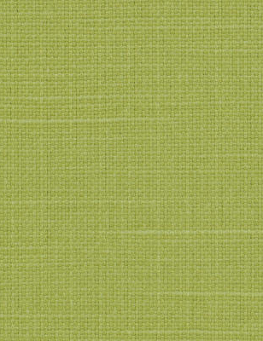Ткань Designers Guild Salso F1797/27