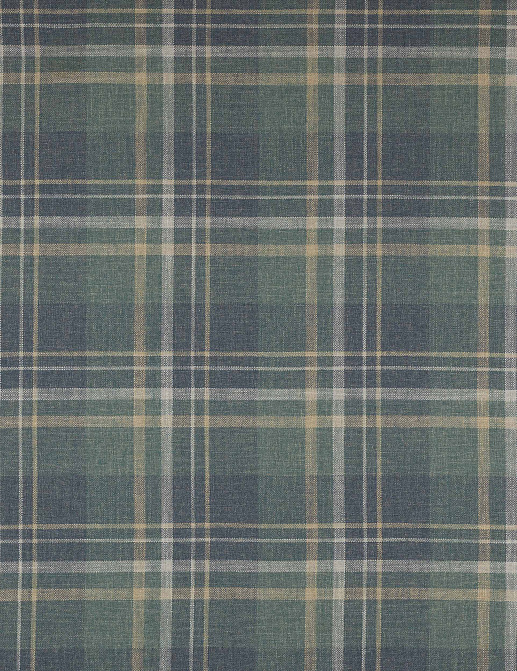 Ткань Colefax and Fowler Magnus Checks F4722/03