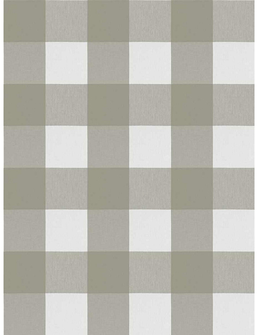 Ткань Fabricut Checks&Stripes Avalon Lane MotherNature/Asphalt