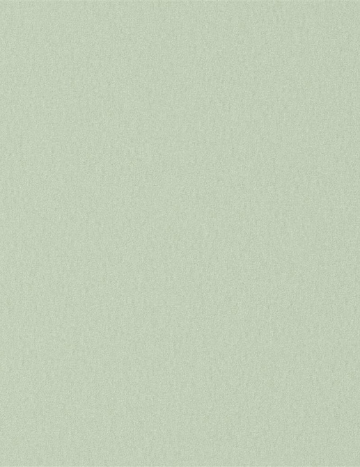 Ткань Designers Guild Tiber Eco FDG3269/06