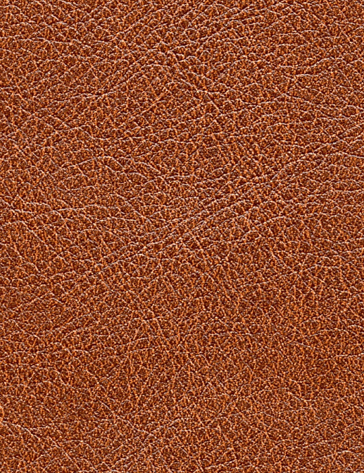 Обои Elitis Cuirs Leathers VP69012