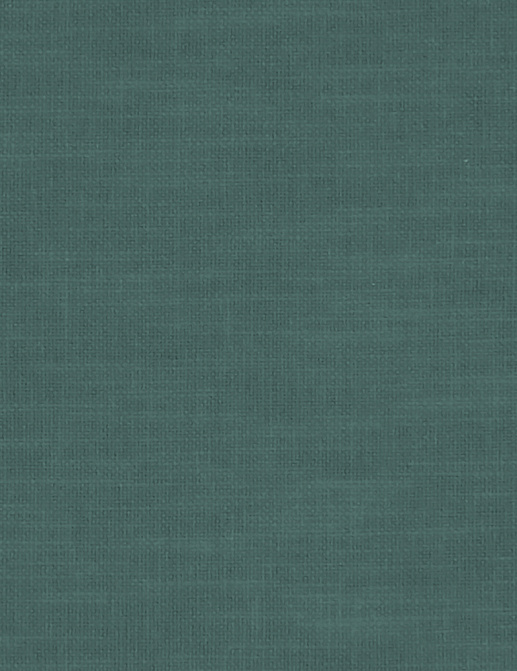 Ткань Clarke & Clarke Amalfi F1239/34