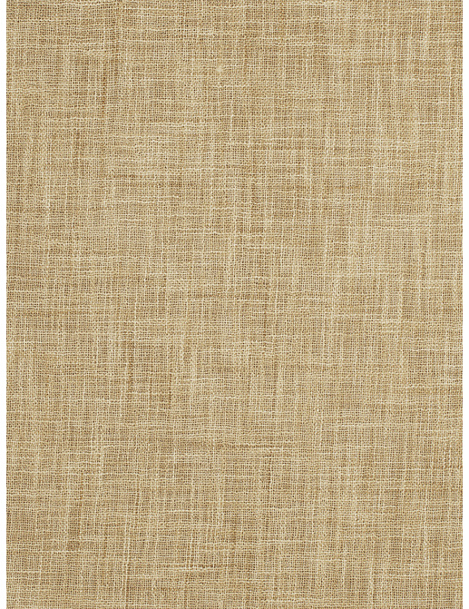 Ткань Fabricut Inspirations Vol. 6 Champagne Rodney/Sand