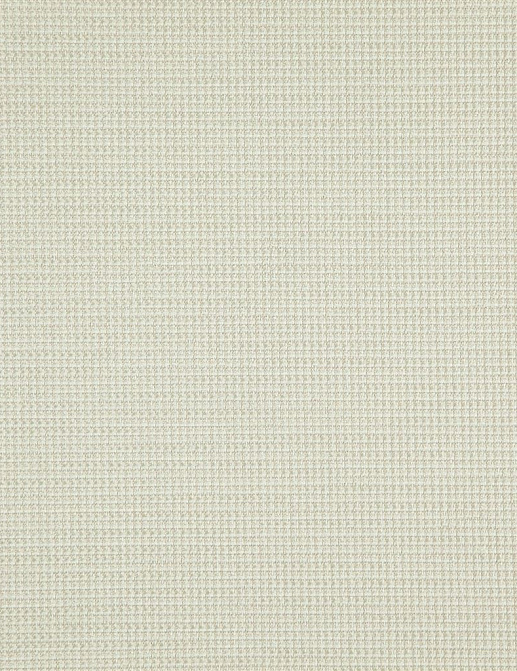Ткань Designers Guild Birkett FDG2795/08