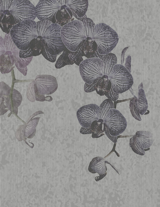 Панно и фотообои Tecnografica Collection 2018 61206-2