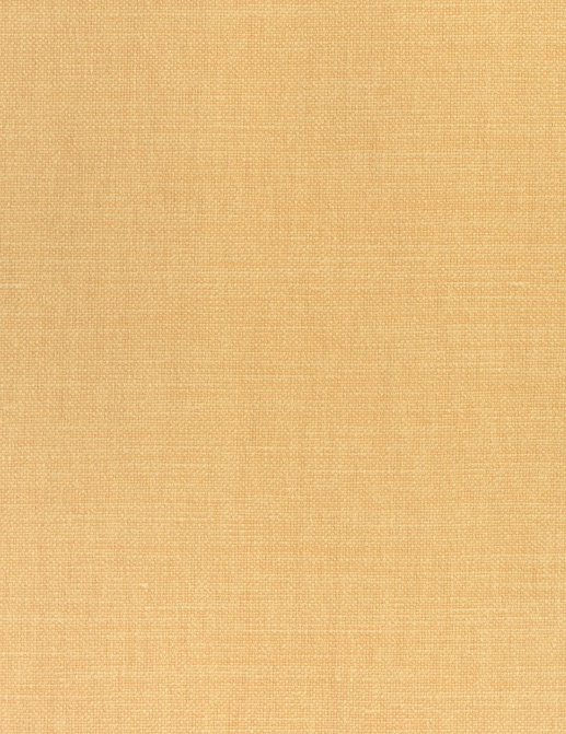 Ткань Thibaut Woven Resource 12 Prisma W70123
