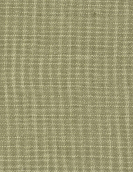 Обои Jannelli & Volpi 454 Omnia 3096