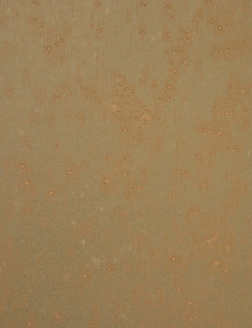 Обои Arte Metallics best of 2009