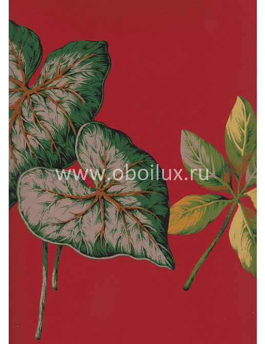 Обои York Antonina Vella - Botanica VB6702