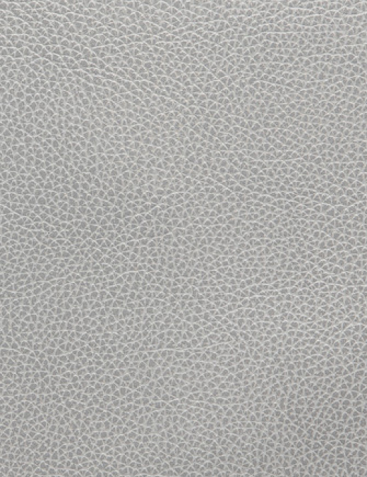 Ткань Holly Hunt Holly Hunt Leather 6013/40