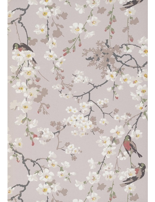 Обои Little Greene National Trust Papers II 0260MAGREYZ