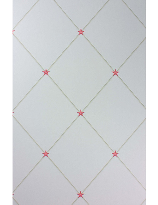 Обои Nina Campbell Rosslyn Wallpapers NCW4151-02