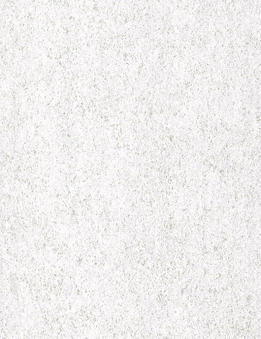 Обои Arte Monochrome 54168