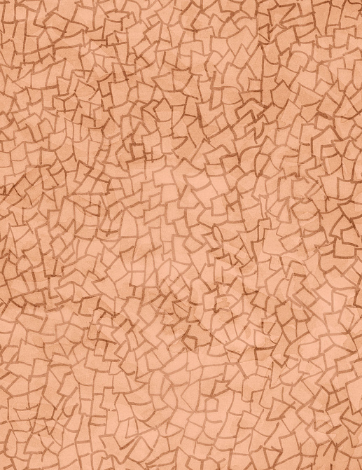 Панно и фотообои Tecnografica Collection 2019 72912-2/B