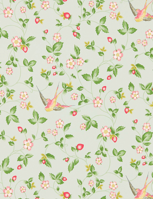 Обои Clarke & Clarke Botanical Wonders W0135/02