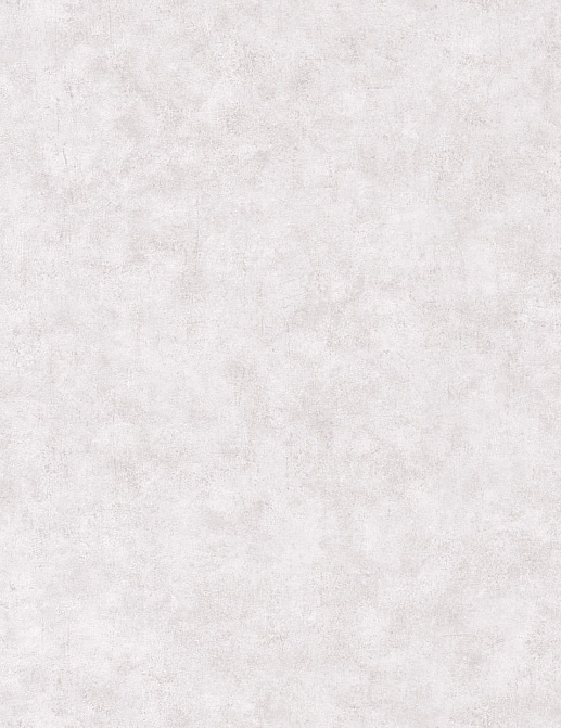 Обои Caselio Beton 101489301