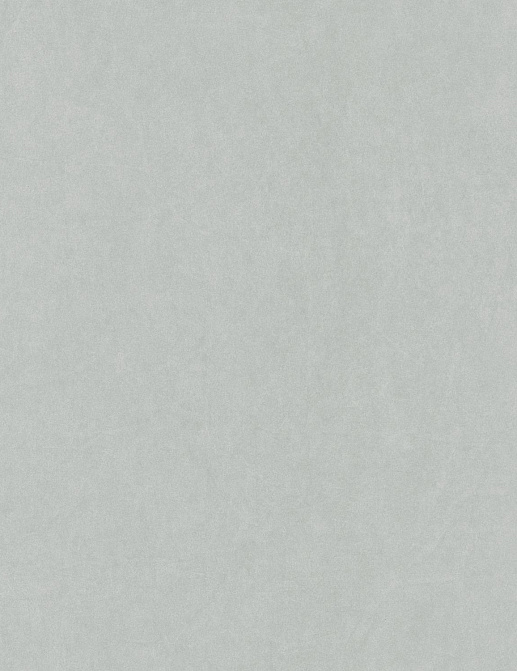 Обои Casadeco Cotton Touch COTO82386109