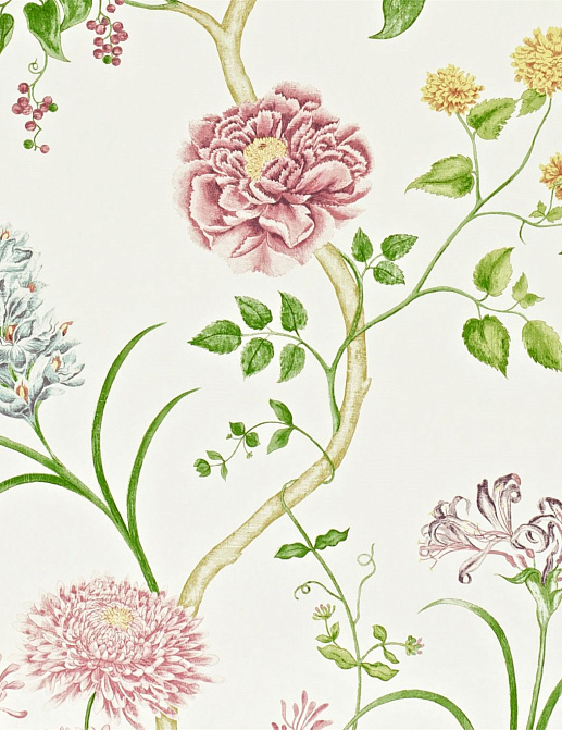 Обои Sanderson Wallpapers from a Painters Garden DAPGST103