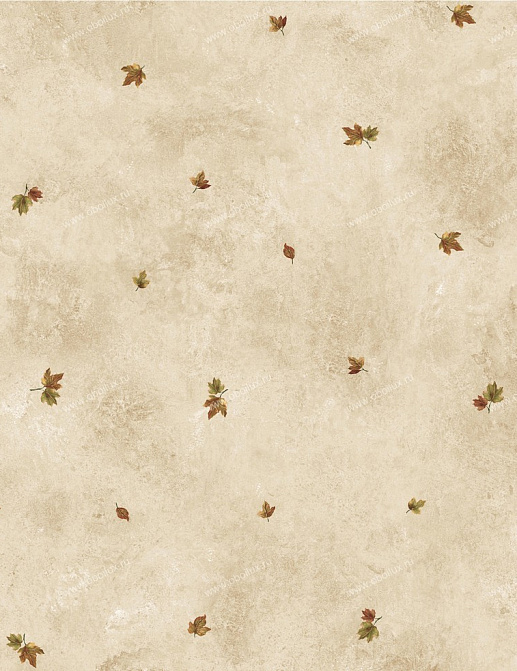 Обои Chesapeake Pure Country PUR49454