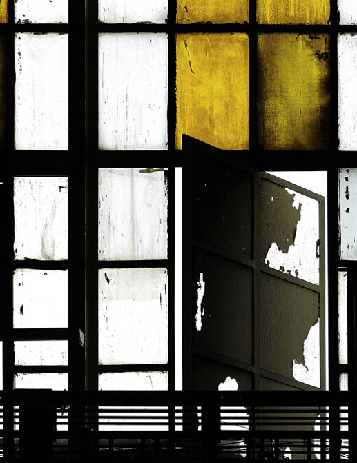 Панно и фотообои A. S. Creation Living Walls - Walls by Patel 2 DD113299