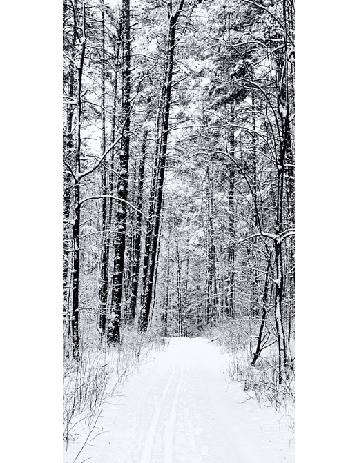 Панно и фотообои Affresco Фрески и фотообои ID13530