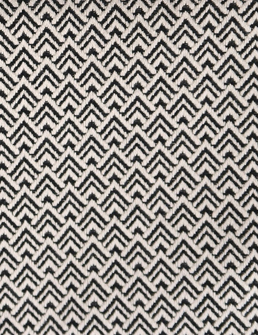 Ткань Clarke & Clarke Black + White F0905/01