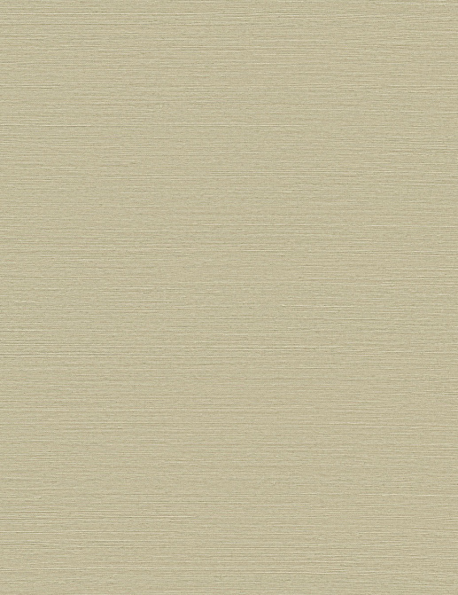 Обои York Ronald Redding Grasscloth & Natural Resource GV0174NW