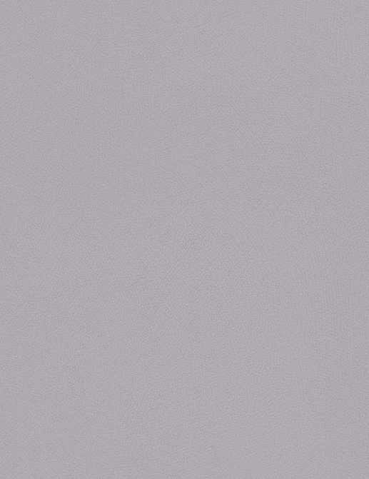 Обои Rasch Blue Velvet 610024