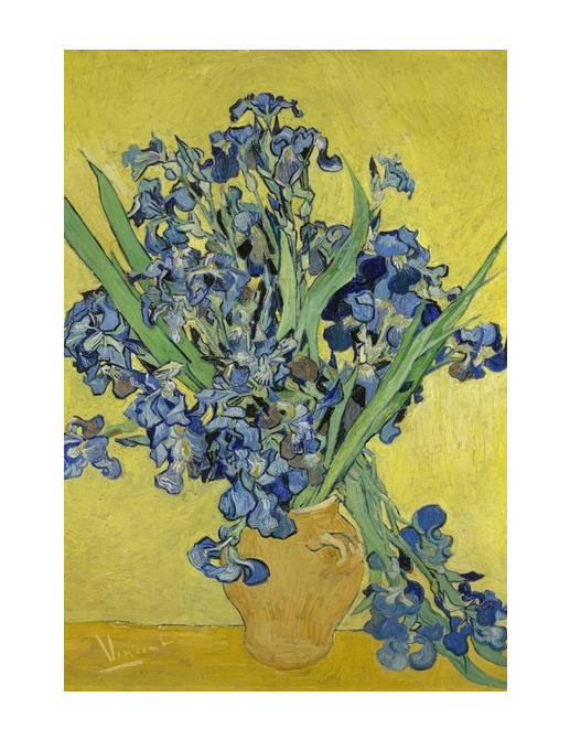 Панно и фотообои BN International Van Gogh 30545