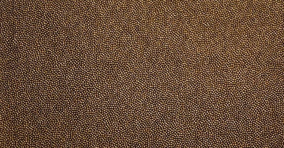 Обои Innovations Collection Pearls PRL1706 GOLDENROD