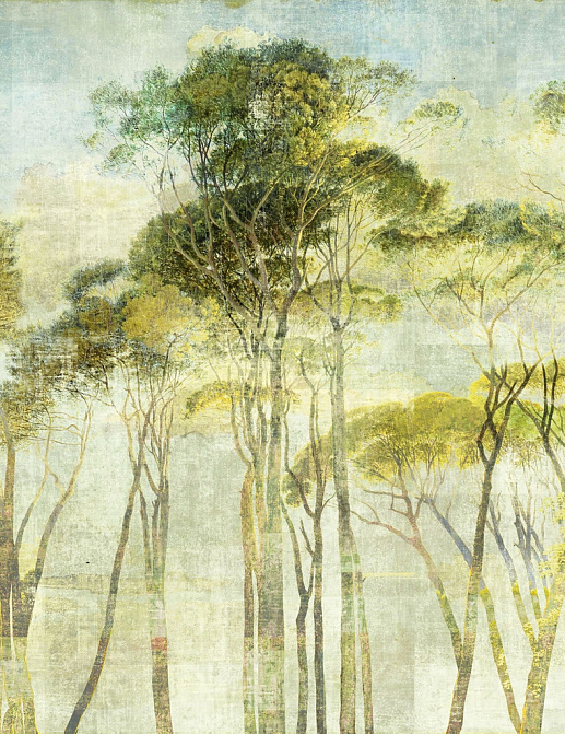 Панно и фотообои Khroma Wall Designs II DG2HYM1012