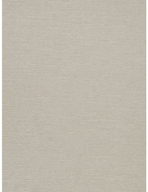 Ткань Fabricut Solids By Color Stone Elrod/Fog
