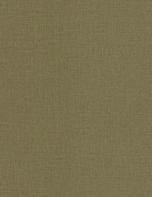 Обои Caselio Jute Essentiel JUT104017342