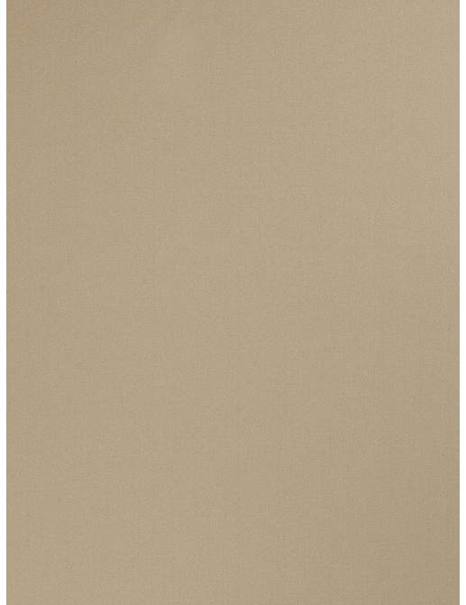 Ткань Trend Multipurpose Sleek Satin Vol.II 02022/Sagebrush