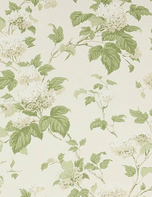 Обои Colefax and Fowler Jardine Florals 07816/09
