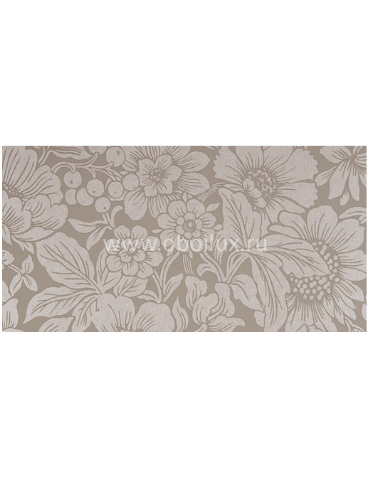 Обои Hookedonwalls Belgian Graffiti 56023