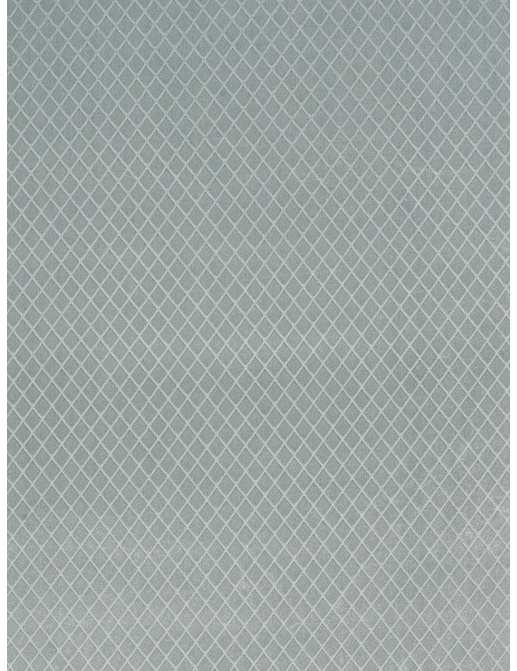 Ткань Trend Seaglass Mist Prints & Wovens Vol.VI 03639/Spa